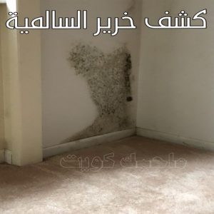 كشف خرير - جهاز كشف الخرير - ابومحمود 97637714 - شركة كشف خرير - كشف الخرير - كشف تسربات المياه - خرير الماء - كشف خرير المياه - عازل اسطح - عازل 25 كشف خرير السالمية