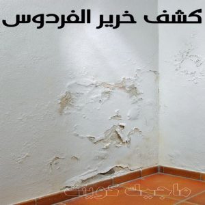كشف خرير - جهاز كشف الخرير - ابومحمود 97637714 - شركة كشف خرير - كشف الخرير - كشف تسربات المياه - خرير الماء - كشف خرير المياه - عازل اسطح - عازل 17 كشف خرير الفردوس