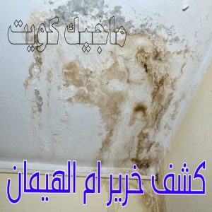 كشف خرير - جهاز كشف الخرير - ابومحمود 97637714 - شركة كشف خرير - كشف الخرير - كشف تسربات المياه - خرير الماء - كشف خرير المياه - عازل اسطح - عازل 24 كشف خرير ام الهيمان
