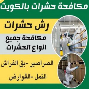 مكافحة حشرات - تنظيف منازل📞99114313 - شركة مكافحة حشرات - مكافحة حشرات وقوارض - مكافحة بق - رش صراصير - مكافحة نمل - شركة حشرات - مكافحة فئران 2 مكافحة حشرات الكويت مكافحة حشرات - تنظيف منازل📞99114313 - شركة مكافحة حشرات - مكافحة حشرات وقوارض - مكافحة بق - رش صراصير - مكافحة نمل - شركة حشرات - مكافحة فئران