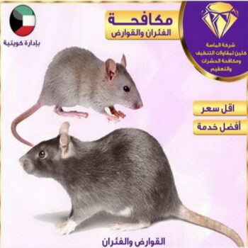 مكافحة حشرات - تنظيف منازل📞99114313 - شركة مكافحة حشرات - مكافحة حشرات وقوارض - مكافحة بق - رش صراصير - مكافحة نمل - شركة حشرات - مكافحة فئران