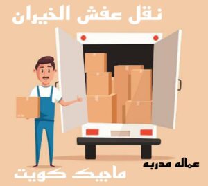 نقل عفش الخيران نقل عفش الاحمدي - نقل اثاث الاحمدي - ابوجاسم 67004678 - رقم نقل عفش الاحمدي - نقل عفش الاحمدي رخيص - هاف لوري الاحمدي - وانيت نقل عفش الاحمدي