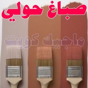 صباغ حولي