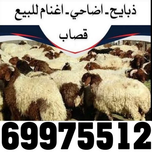 المنيوم الكويت – فني المنيوم - المنيوم باكستاني📞97375178 - المنيوم - شتر - تركيب مطابخ - فني شتر - تركيب شتر - تصليح شتر - تصليح مطبخ - معلم المنيوم - فني المنيوم الكويت 8 2 المنيوم الكويت – فني المنيوم - المنيوم باكستاني📞97375178 - المنيوم - شتر - تركيب مطابخ - فني شتر - تركيب شتر - تصليح شتر - تصليح مطبخ - معلم المنيوم - فني المنيوم الكويت