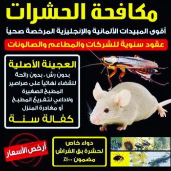 مكافحة قوارض - مكافحة حشرات وقوارض - تنظيف منازل📞99114313 - شركة حشرات - مكافحة حشرات - شركة مكافحة حشرات - مكافحة بق - مكافحة حشرات الكويت