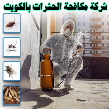 مكافحة حشرات - شركة مكافحة حشرات - تنظيف منازل📞99114313 - شركة حشرات - رش حشرات - رش صراصير - مكافحة صراصير - مكافحة بق - مكافحة حشرات وقوارض